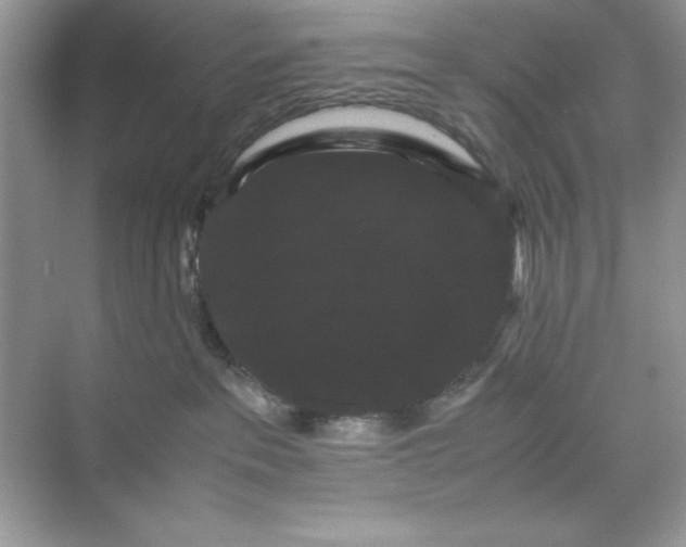 X0000071900237200607212024