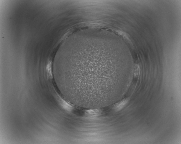 X0000071900238200607212024