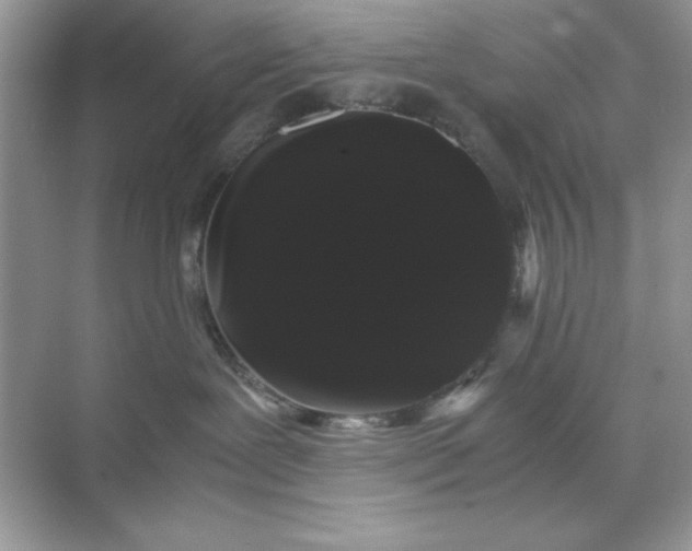 X0000071900239200607212024