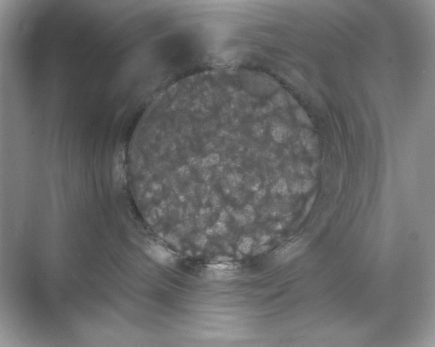 X0000071900240200607212024