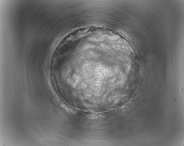 X0000071900241200607212024