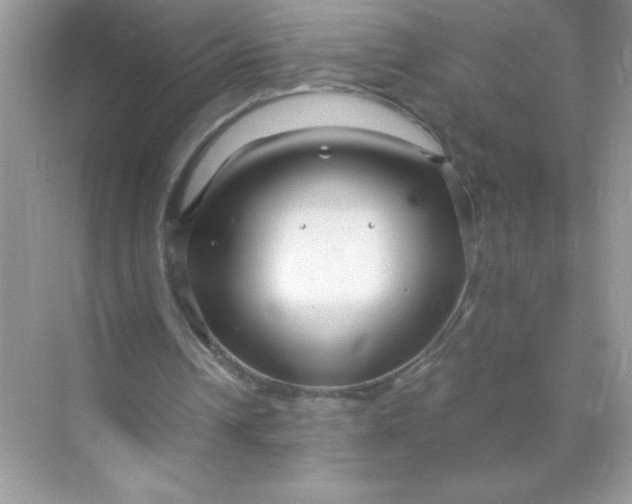 X0000071900242200607212024