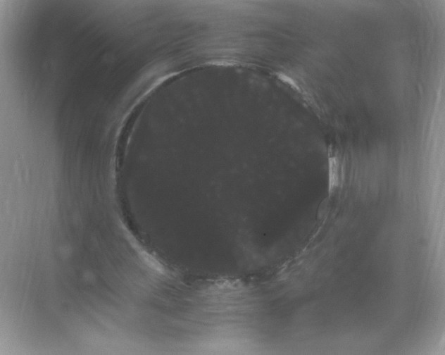 X0000071900243200607212024