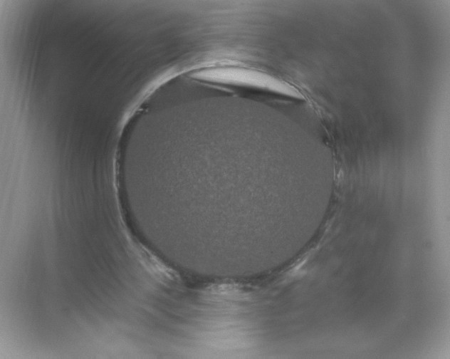 X0000071900244200607212024