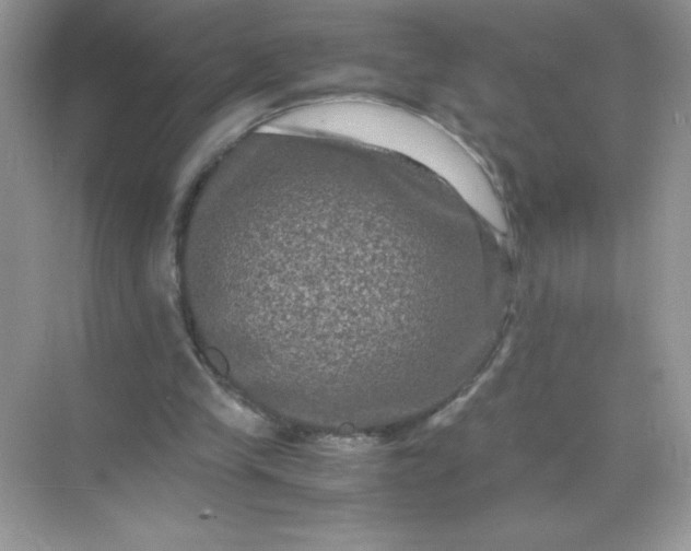 X0000071900245200607212024