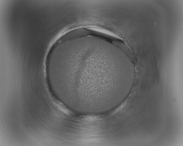 X0000071900246200607212024