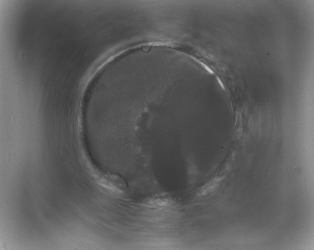 X0000071900247200607212024