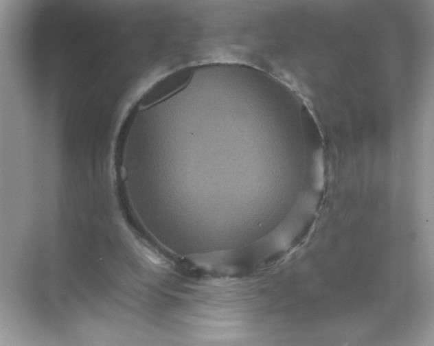 X0000071900248200607212024