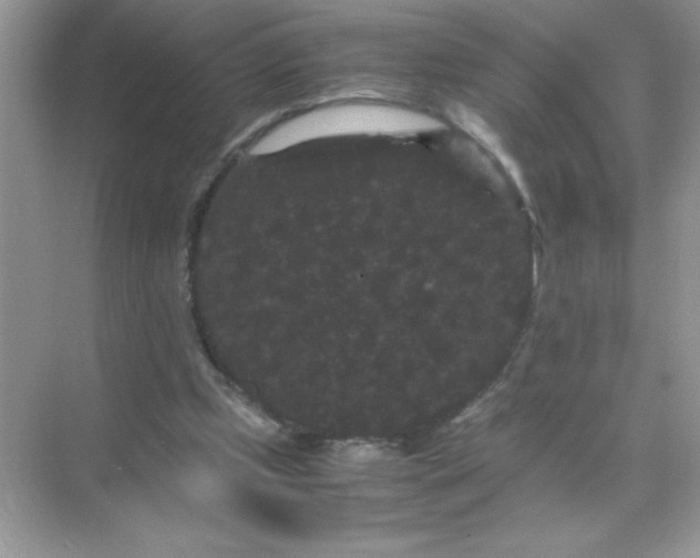 X0000071900249200607212024