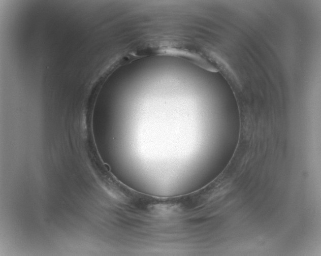 X0000071900251200607212024