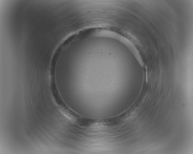 X0000071900252200607212024