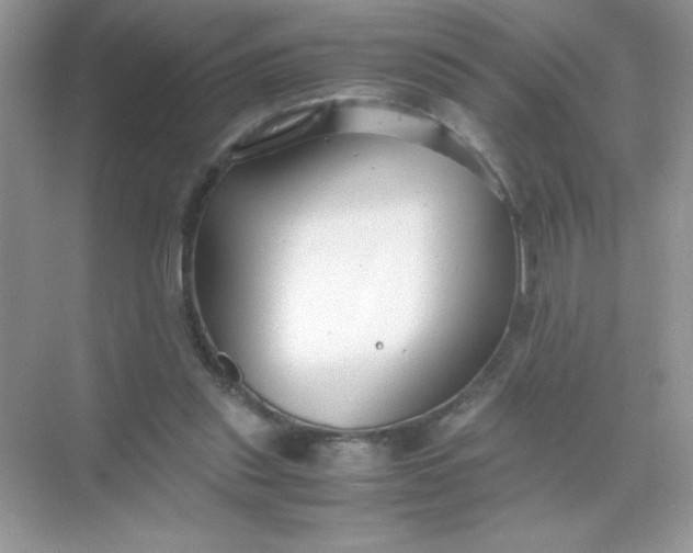 X0000071900253200607212024