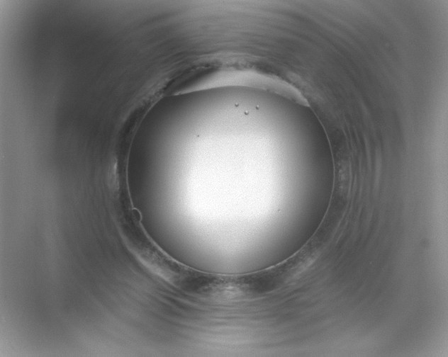 X0000071900254200607212024