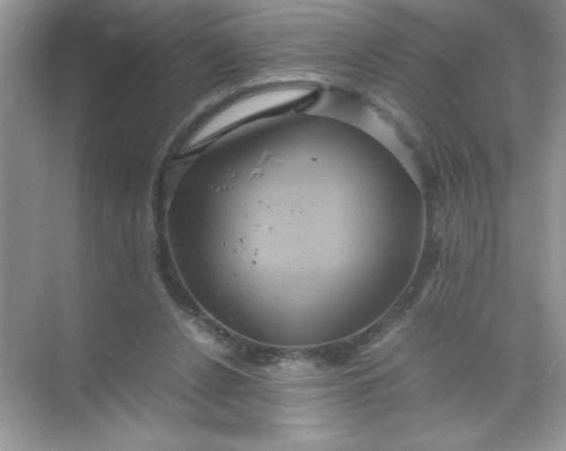 X0000071900256200607212024