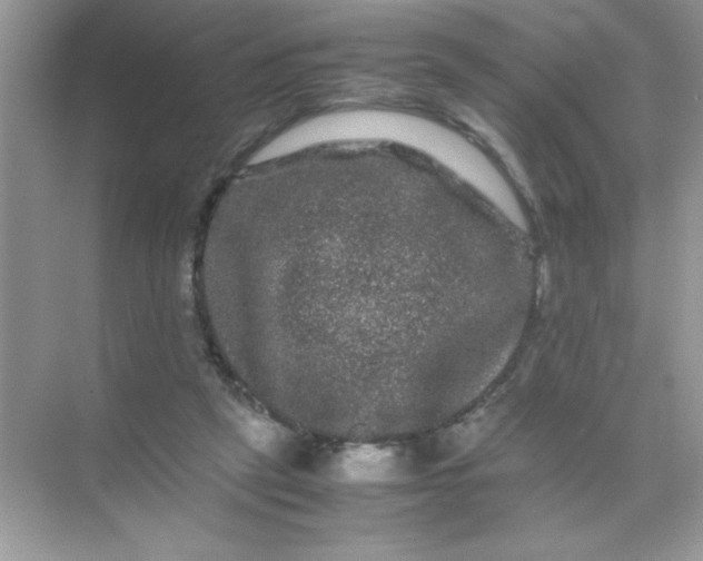 X0000071900257200607212024