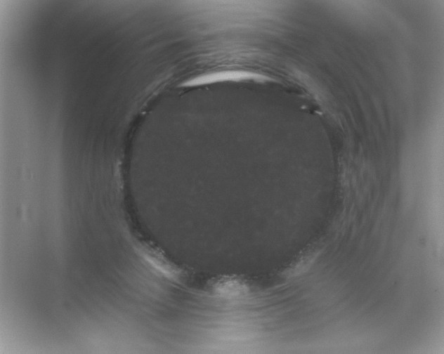 X0000071900258200607212024