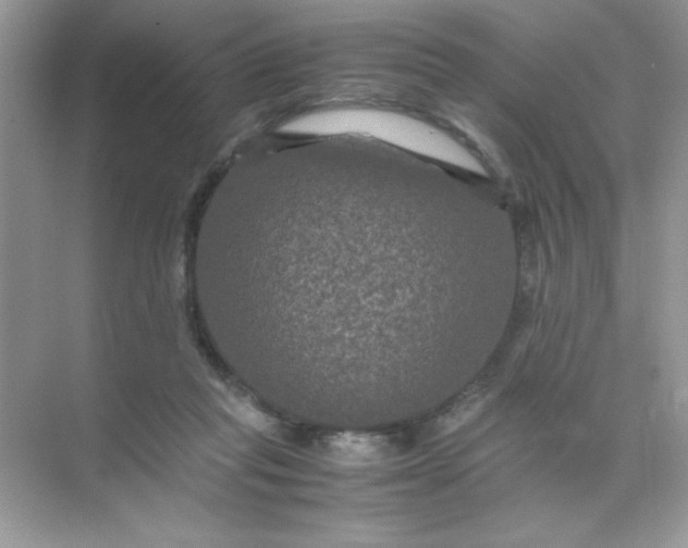 X0000071900261200607212024