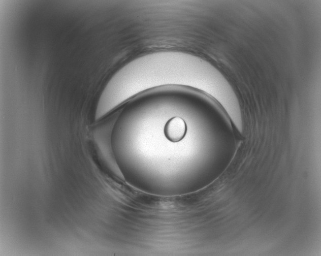 X0000071900264200607212024