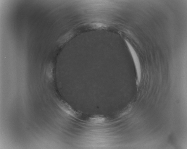 X0000071900266200607212024