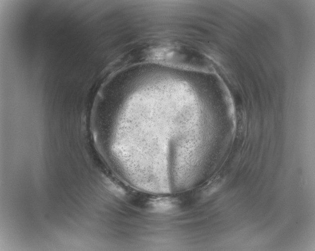 X0000071900269200607212024