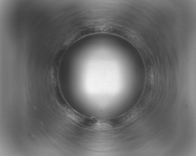 X0000071900270200607212024