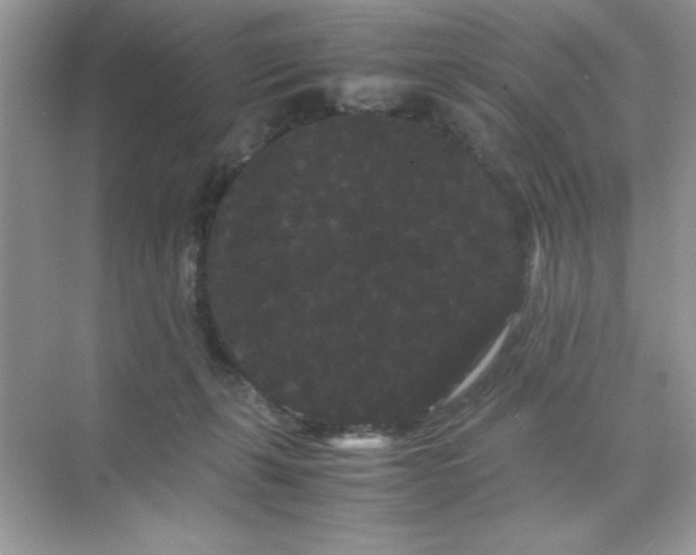 X0000071900271200607212024