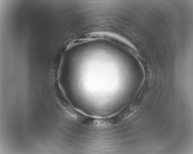 X0000071900272200607212024