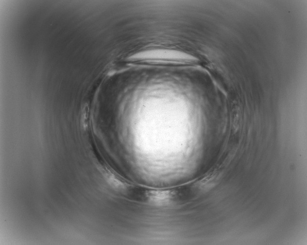 X0000071900273200607212024