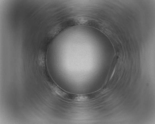 X0000071900274200607212024