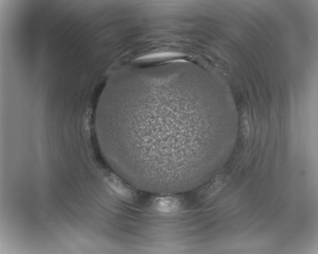 X0000071900275200607212024