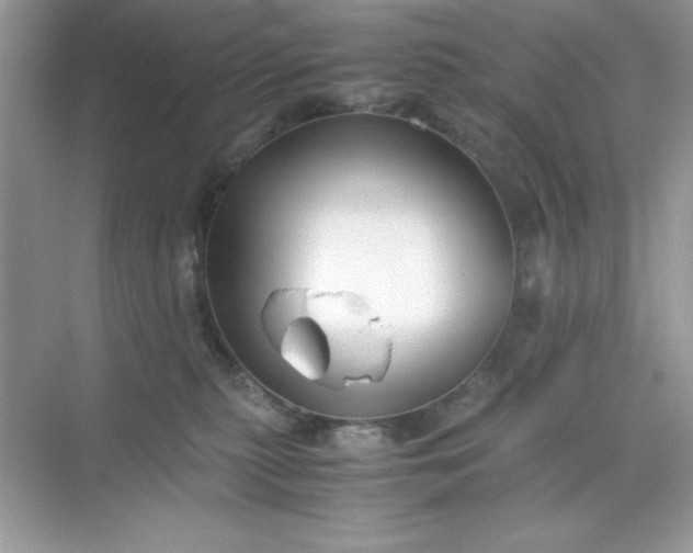 X0000071900279200607212024