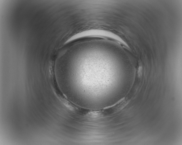 X0000071900280200607212024