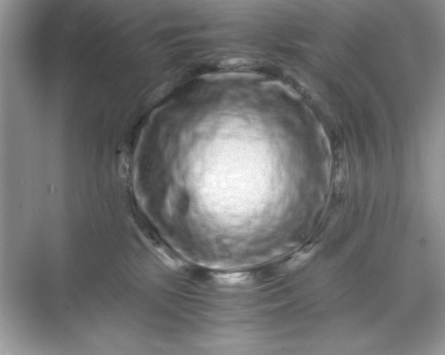 X0000071900281200607212024