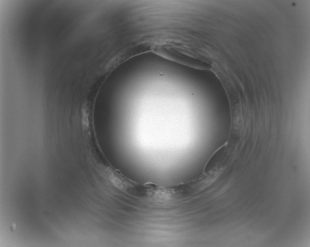 X0000071900282200607212024