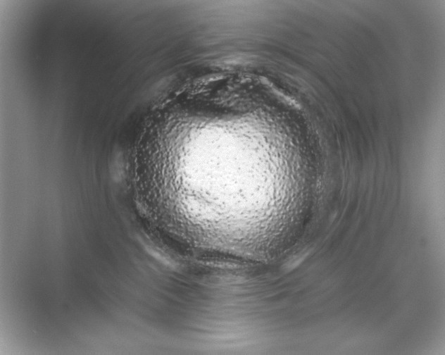 X0000071900284200607212024