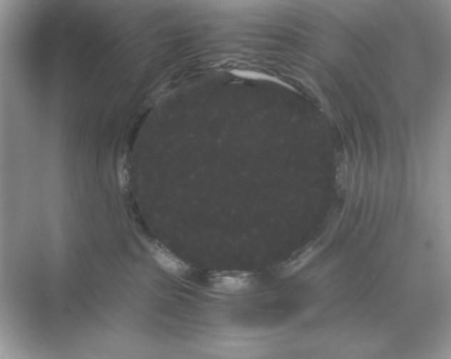 X0000071900285200607212024