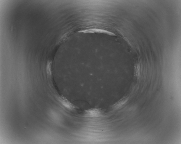 X0000071900286200607212024