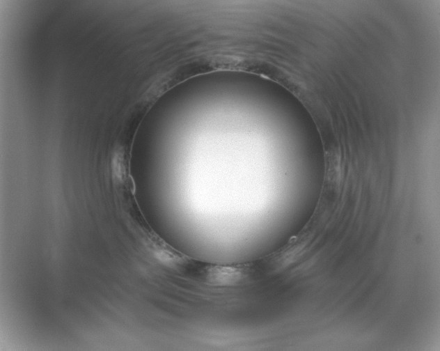 X0000071900287200607212024