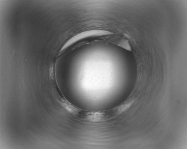 X0000071900288200607212024