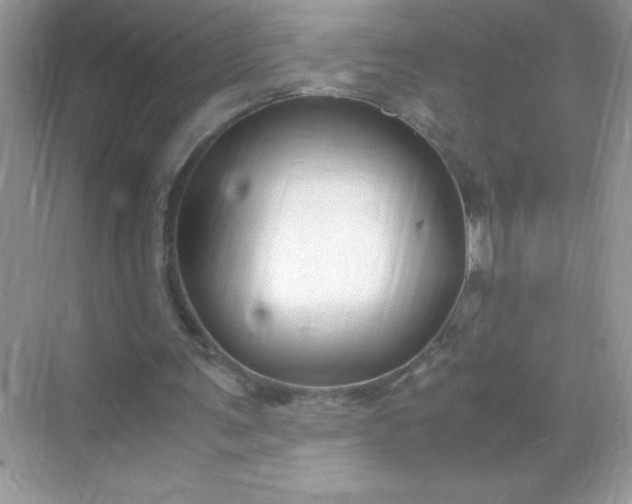 X0000071900291200607212023