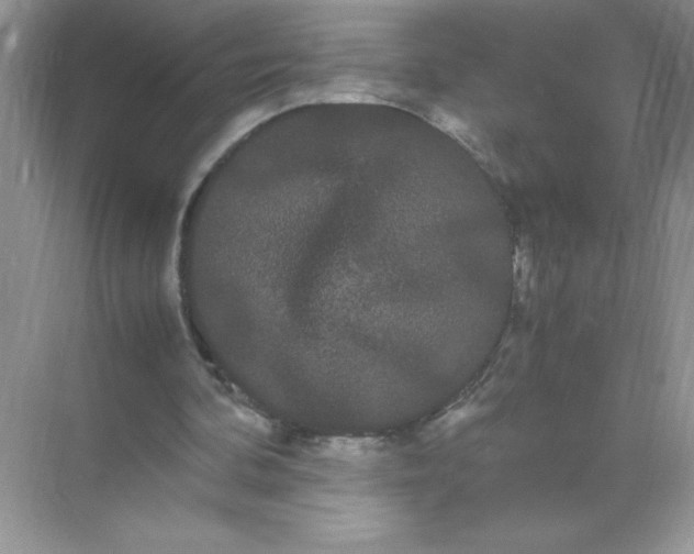 X0000071900292200607212023