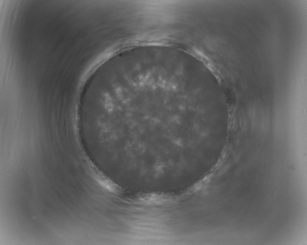 X0000071900293200607212023