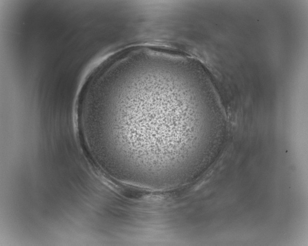 X0000071900294200607212023