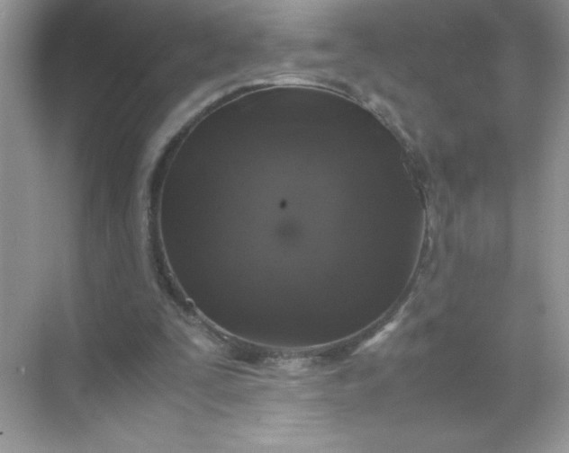 X0000071900295200607212023