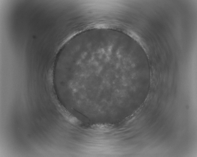 X0000071900297200607212023