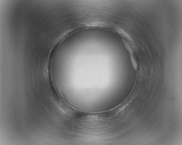 X0000071900298200607212023