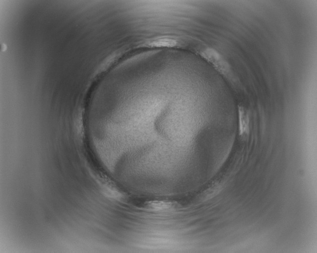 X0000071900300200607212023