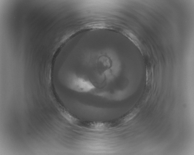 X0000071900301200607212023