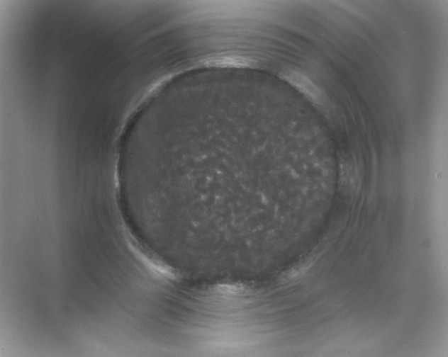 X0000071900302200607212023