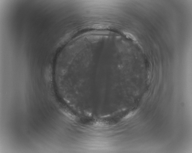 X0000071900303200607212023